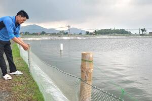 Hà Tĩnh: Người nuôi trồng thủy sản chủ động ứng phó với mưa bão