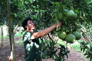 Điểm tựa giúp nông dân làm giàu