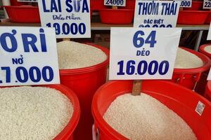 Giá gạo xuất khẩu Việt Nam tiếp tục tăng trở lại mốc lịch sử 643 USD/tấn