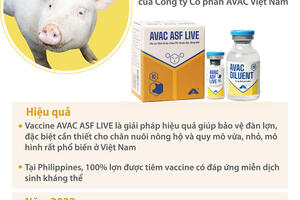 Vaccine dịch tả lợn châu Phi do Việt Nam sản xuất chính thức được xuất khẩu