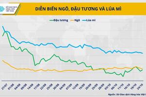 El Nino liệu có khiến giá nguyên liệu chăn nuôi tăng mạnh?