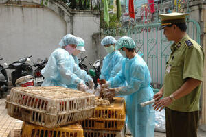 Hà Nội sẽ kiểm soát dịch bệnh động vật đến tận thôn, xóm, hộ chăn nuôi