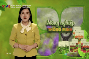 Nông nghiệp tuần hoàn: Xu hướng tất yếu trong phát triển bền vững