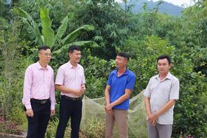 Vốn tín dụng chính sách, “bà đỡ” mát tay của người nghèo