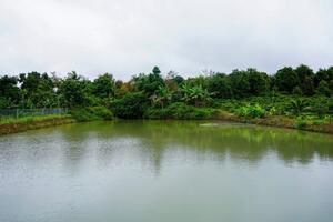 Giải pháp ứng phó khô hạn tại miền Trung - Tây Nguyên