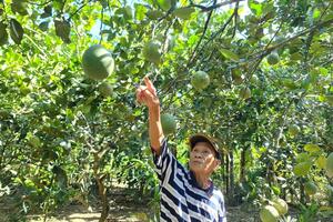 Nghĩa Hành nỗ lực xây dựng nông thôn mới nâng cao