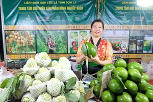Phát triển kinh tế tập thể, hợp tác xã: Cần cơ chế hỗ trợ đặc thù