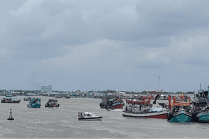 Thủy sản: Mũi nhọn đưa kinh tế biển Cà Mau phát triển