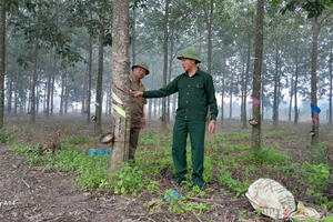 Mô hình kinh tế hiệu quả của cựu chiến binh