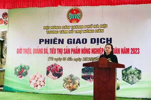 Khai mạc phiên giao dịch giới thiệu sản phẩm nông sản tại Ba Vì