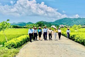 Huyện Sóc Sơn: Bước tiến trong xây dựng nông thôn mới