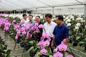 Đan Phượng phát triển nông nghiệp công nghệ cao gắn với du lịch
