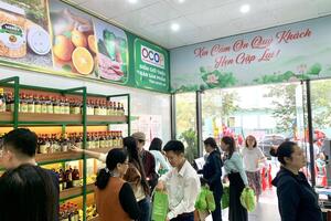 Nghệ An: Thêm một kênh hỗ trợ sản phẩm OCOP vươn ra các tỉnh thành