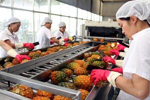 Tận dụng EVFTA, đẩy mạnh xuất khẩu hàng hóa sang EU