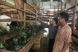 "Sức bật" từ phát triển sản xuất và ngành nghề ở Ea Na