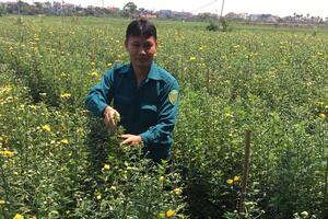 Tạo sức bật cho nông nghiệp Thủ đô