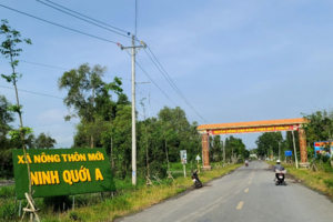 Nông dân Bạc Liêu làm giàu theo hướng thuận thiên