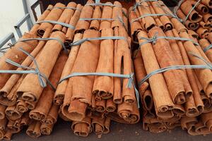 Ấn Độ và Hoa Kỳ là hai thị trường xuất khẩu chính của quế Việt Nam
