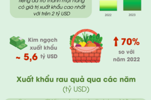 Xuất khẩu rau quả thiết lập kỷ lục mới