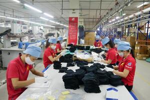 Năm Rồng, điểm tựa nào cho doanh nghiệp bay xa?