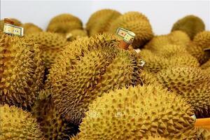 Thêm đối thủ mới của sầu riêng Việt Nam tại thị trường Trung Quốc