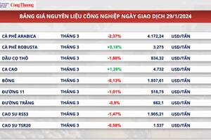 Nguồn cung thiếu hụt cục bộ, giá cà phê xuất khẩu cao nhất 30 năm