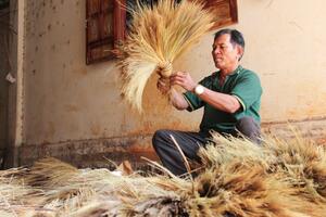 Nghề làm chổi đót của người Bru - Vân Kiều