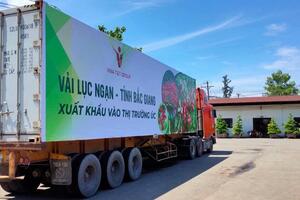 Tăng cường kết nối logistics thúc đẩy tiêu thụ, xuất khẩu nông lâm thủy sản