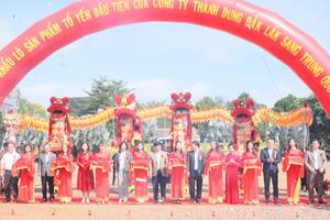 Tổ yến vươn ra biển lớn