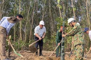 Quảng Ngãi: Các địa phương sôi nổi ra quân trồng cây đầu năm