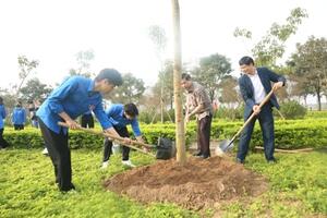 Hà Nội tiếp tục được phủ xanh