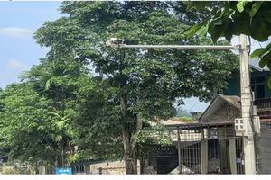 Lào Cai có 5 mô hình, sáng kiến hay trong xây dựng nông thôn mới năm 2023