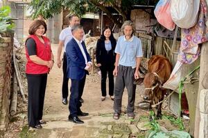 Huyện Sóc Sơn: Trao bò sinh sản hỗ trợ gia đình có hoàn cảnh khó khăn