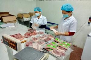 Chăn nuôi an toàn, bền vững lên ngôi