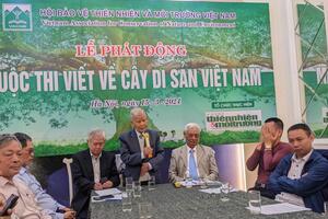 Bảo vệ cây di sản là bảo vệ giá trị cốt lõi của cuộc sống