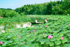 Du lịch sinh thái, trải nghiệm -Dấu ấn đất sen hồng