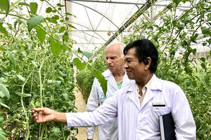 Tây Nguyên: “Đánh thức” không gian đô thị nông nghiệp
