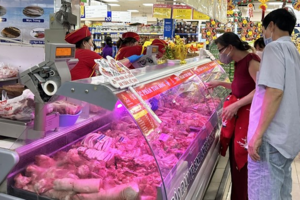 Giá heo hơi hôm nay 27/3/2024: Giảm 1.000 đồng/kg tại miền Bắc