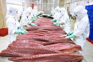 Xuất khẩu tuần từ 1-7/4: Sản phẩm cá ngừ được xuất khẩu sang 80 thị trường; xuất khẩu hạt điều tăng vọt