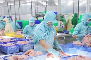 Người tiêu dùng ưa chuộng, xuất khẩu cá tra sang Canada tăng vọt