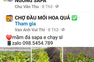 Tràn lan nông sản không rõ xuất xứ đội lốt hàng Việt