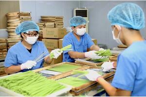 Mở cánh cửa cho xuất khẩu nông sản Hà Nội