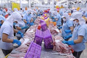 Nhập khẩu cá tra giá trị gia tăng của Hoa Kỳ từ Việt Nam tăng 8,5 lần