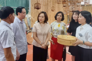 Hỗ trợ phụ nữ tham gia bảo tồn, phát triển sản phẩm nghề truyền thống