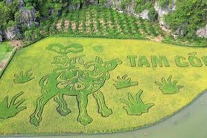 Trải nghiệm độc đáo và hấp dẫn tại tuần du lịch Ninh Bình năm 2024