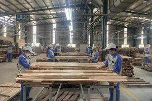Tuyên Quang: Xuất khẩu nỗ lực vượt khó