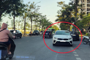Mức phạt lỗi đi ngược chiều của ô tô, xe máy năm 2024