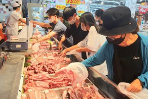 Giá heo hơi hôm nay 12/6/2024: giao dịch ổn định