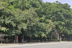 Nghệ An: độc đáo quán cà phê trong hang đá