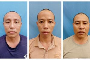 Yên Thành (Nghệ An): Bắt giữ 3 đối tượng trộm hơn 200kg chó